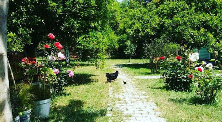 Alican Saklibahce Pension
