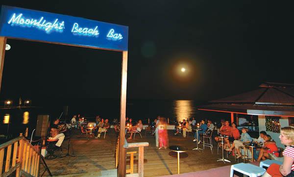 CLUB TURTLE`S MARCO POLO