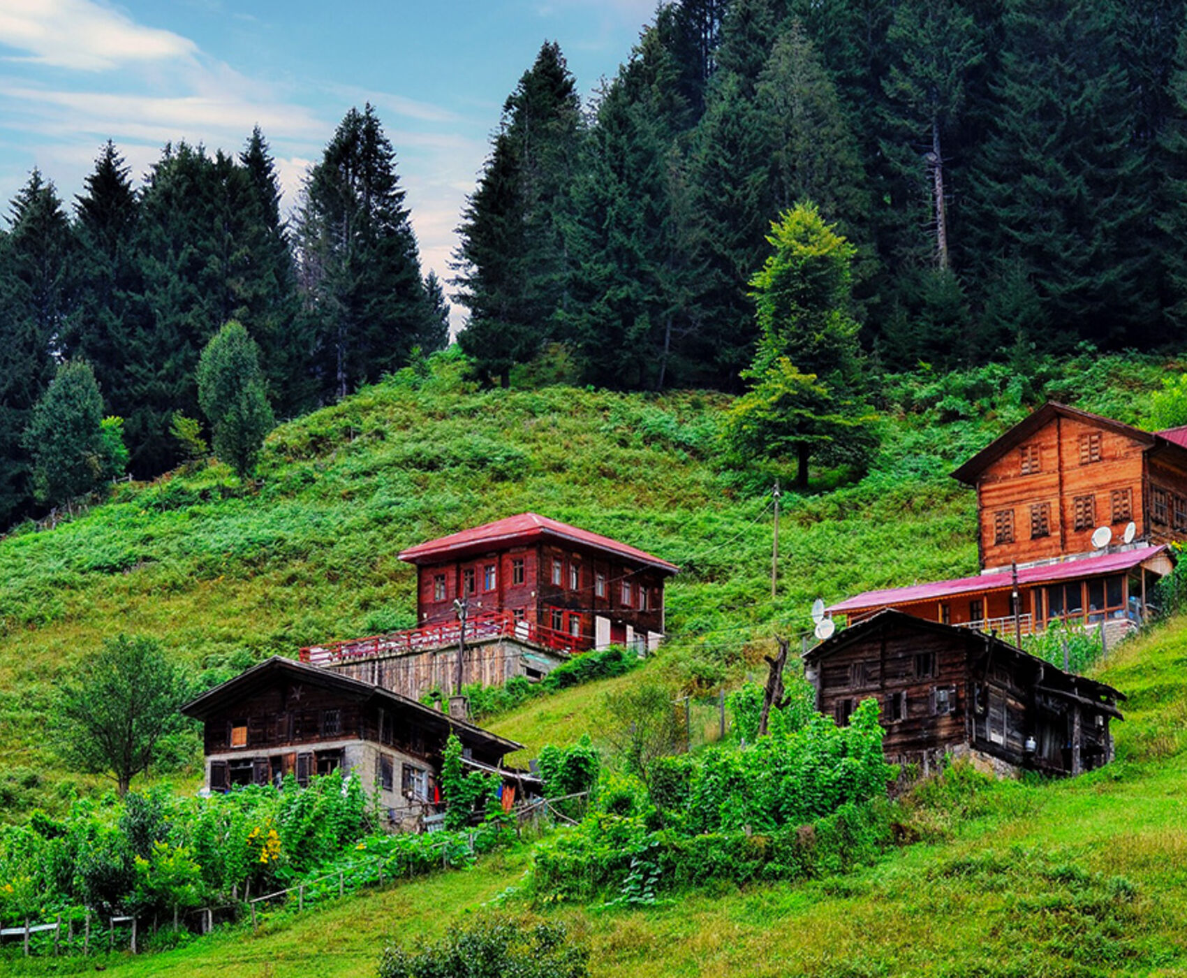 UÇAKLI BUTİK KARADENİZ İKONLARI ( UZUNGÖL & AYDER YAYLASI )