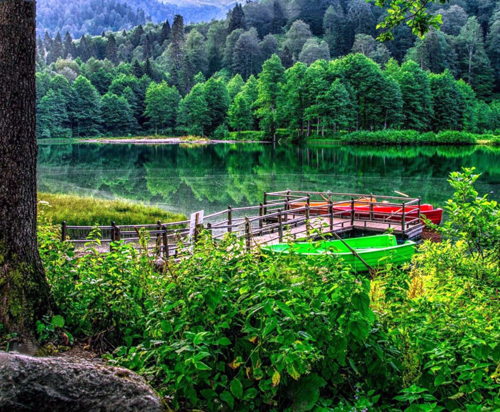 UÇAKLI VAN KARS KARADENİZ BATUM  TURU