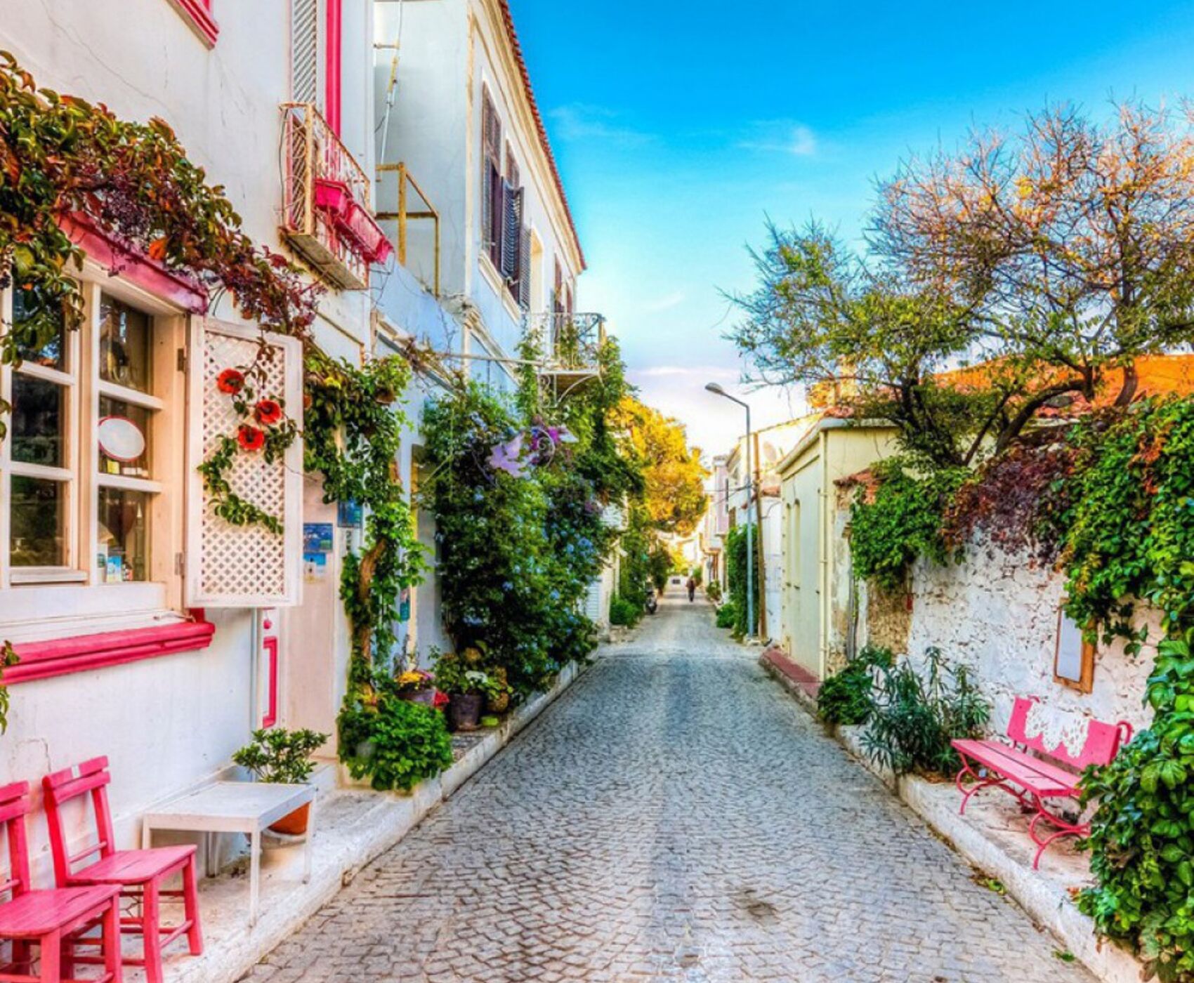 UÇAKLI BÜYÜK EGE İZMİR GÖKÇEADA BOZCAADA AYVALIK TURU