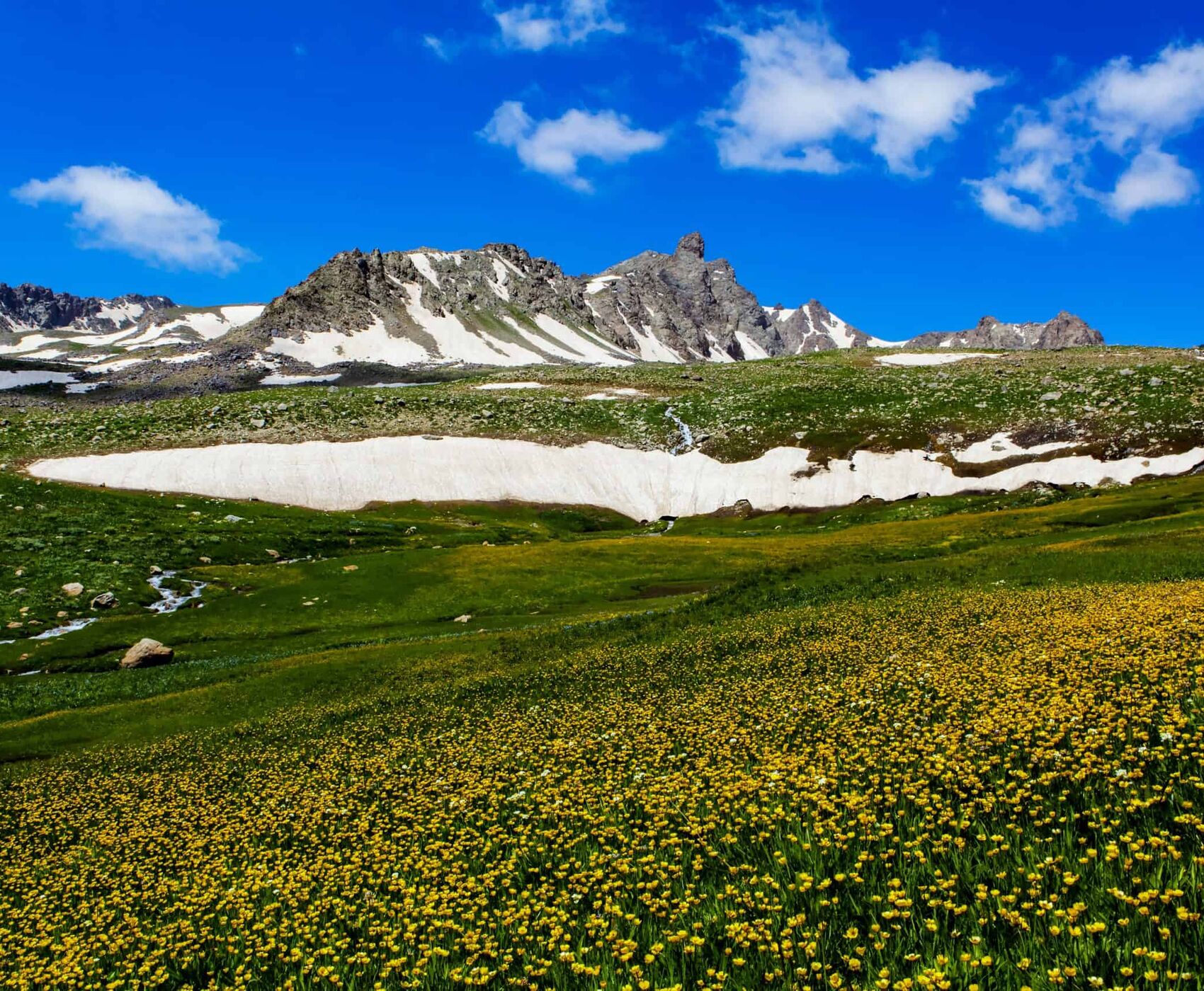 UÇAKLI VAN BAŞKALE YÜKSEKOVA HAKKARİ ŞIRNAK CİZRE DİYARBAKIR