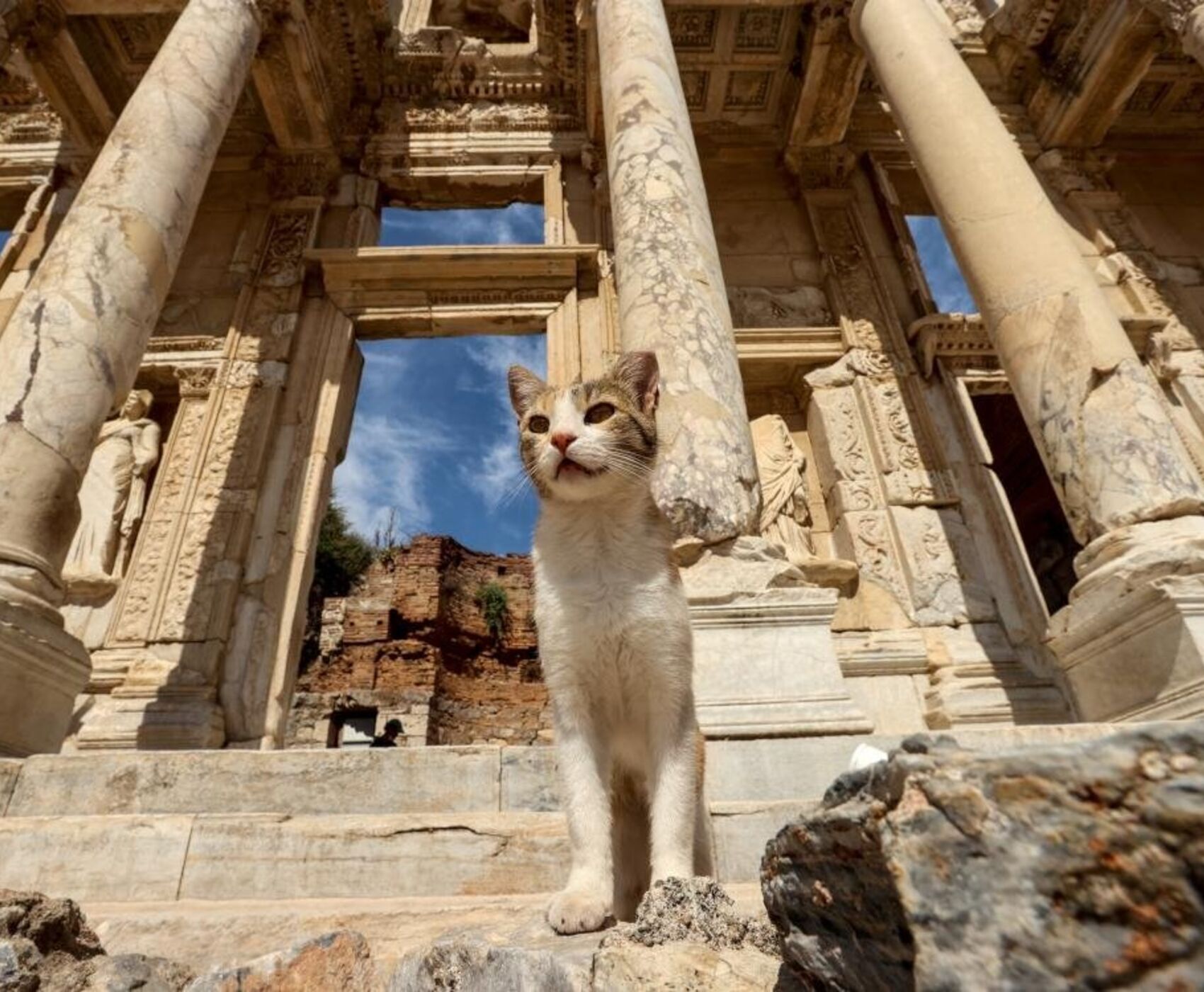 BODRUM - DİDİM - KUŞADASI - İZMİR - ALAÇATI - ÇEŞME - FOÇA - ŞİRİNCE