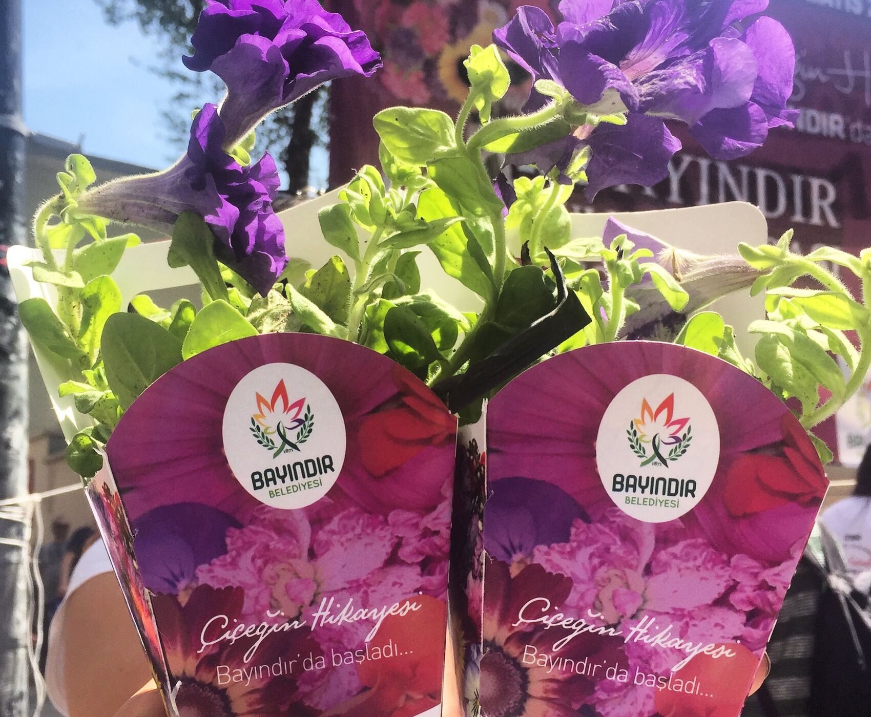 BAYINDIR ÇİÇEK FESTİVALİ