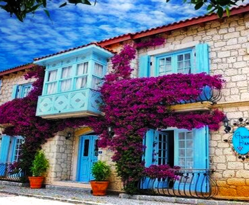 URLA ENGİNAR FESTİVALİ