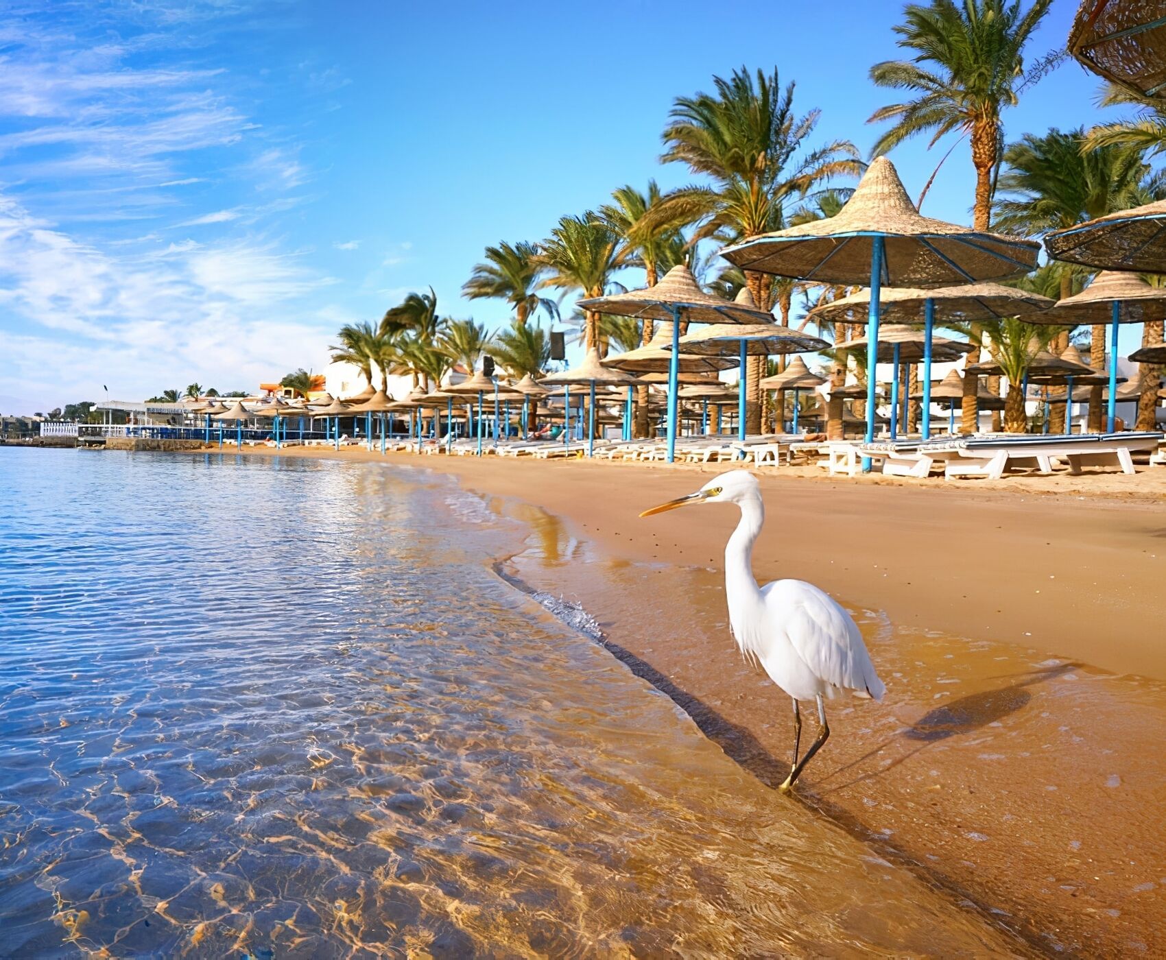 ANTALYA DAN DİREKT UÇAKLI  HURGHADA TATİL PAKETİ MISIR