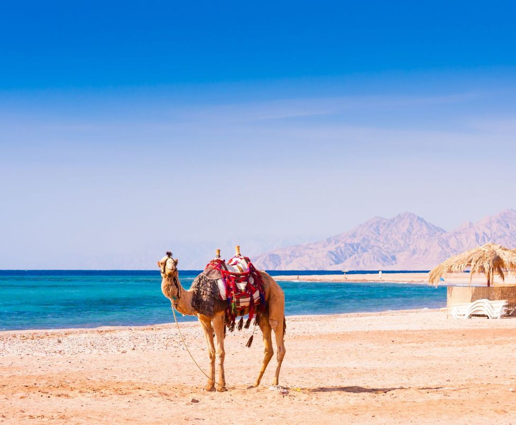 ANTALYA DAN DİREKT UÇAKLI  HURGHADA TATİL PAKETİ MISIR