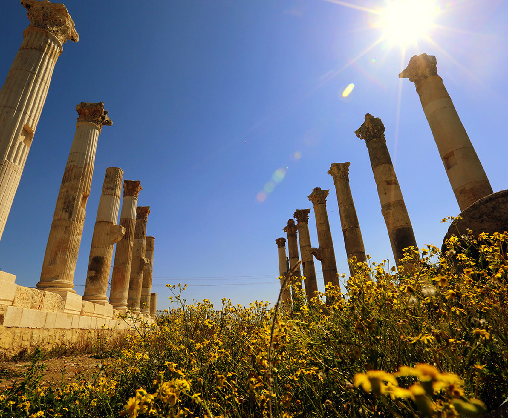 ADANA PORTAKAL ÇİÇEĞİ KARNAVALI