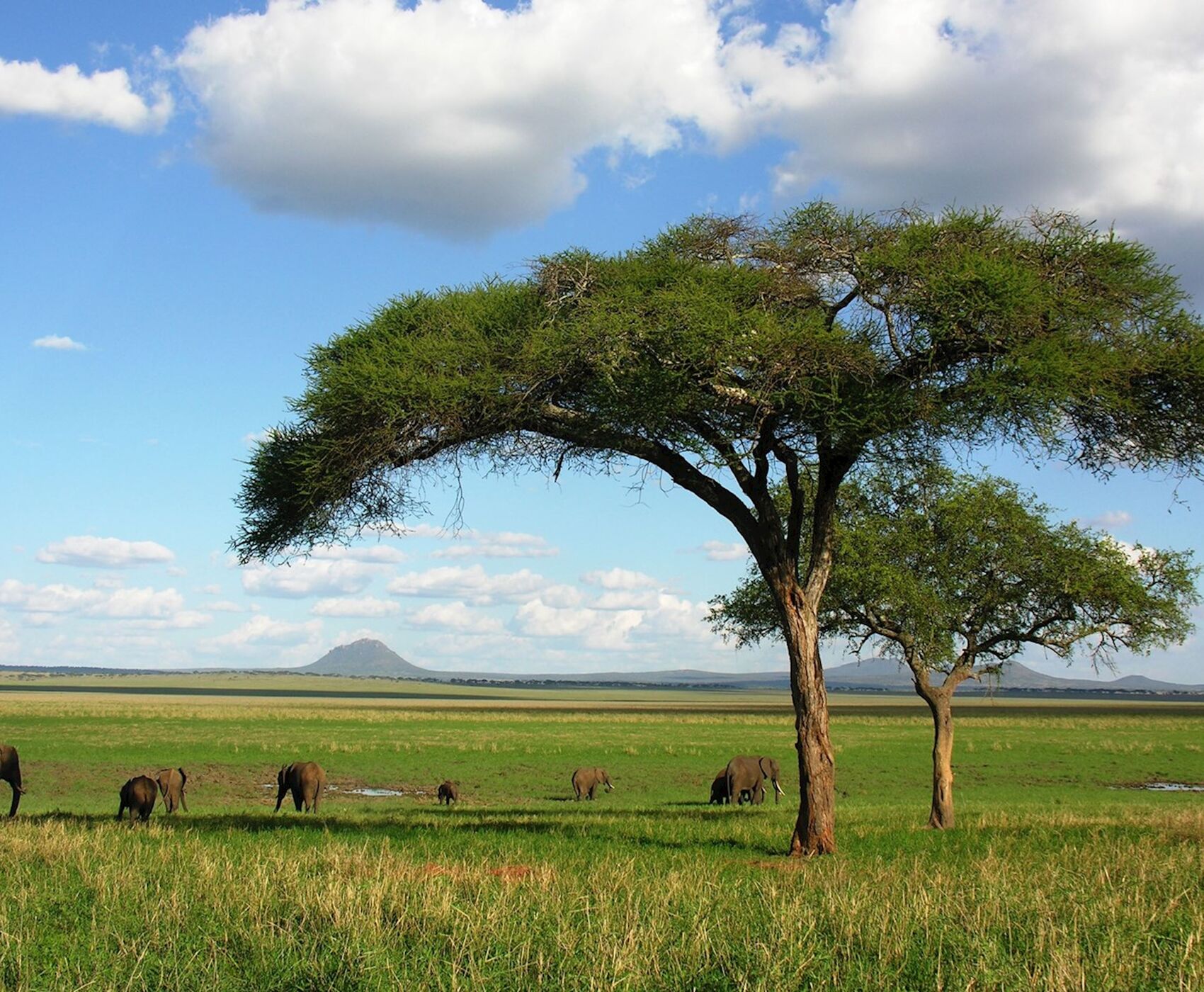 ANTALYA DAN İSTANBUL AKTARMALI TANZANYA & ZANZİBAR