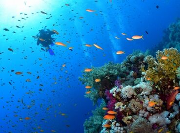 DİYARBAKIR’DAN SHARM EL SHEIKH TURU Air Cairo Havayolları Özel Seferi ile 4 gece