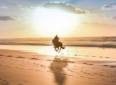 Comfort Fas & Sahra Çölü Turu (Çölde Kamp Konaklamalı) THY ile 7  Gece - Ekstra Turlar ve Akşam Yemekli 2026 Dönemi