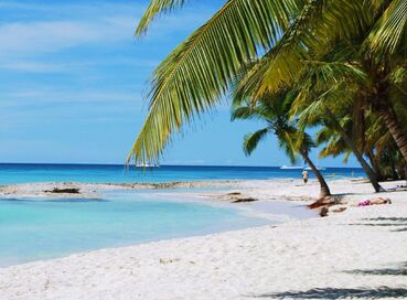 DOMİNİK CUMHURİYETİ ADA TURU (VIVA WYNDHAM) 2026 AF (LRM-LRM)