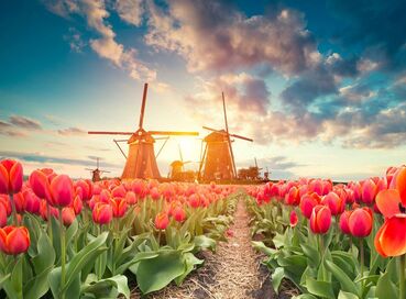 Görkemli Amsterdam: Renklerin Şehri - Ankara Hareketli -  Sömestre Özel