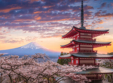 Comfort Japonya Turu Etihad Hava Yolları ile 7 gece Ekstra Turlar ve Çay Seramonisi