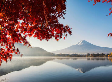 Comfort Japonya & Kore Turu Türk Hava Yolları ile 8 Gece Ekstra Turlar ve Çay Seremonisi Dahil ICN-KIX 2026