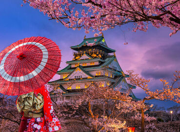 Comfort Japonya Turu Etihad Hava Yolları ile 6 gece Ekstra Turlar Dahil 2026 Dönemi NRT-KIX