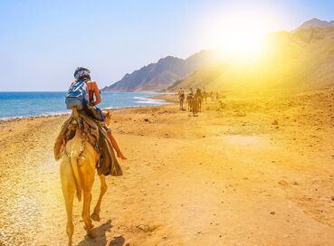 ANKARA ÇIKIŞLI HERŞEY DAHİL KAHİRE &PİRAMİTLER ( MISIR ) & PETRA ANTİK KENTİ (ÜRDÜN)