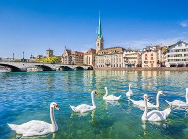 Elit Alsace ve Colmar Turu THY ile 3 Gece Ekstra Turlar Dahil Kurban Bayramı Dönemi (BSL - ZRH)