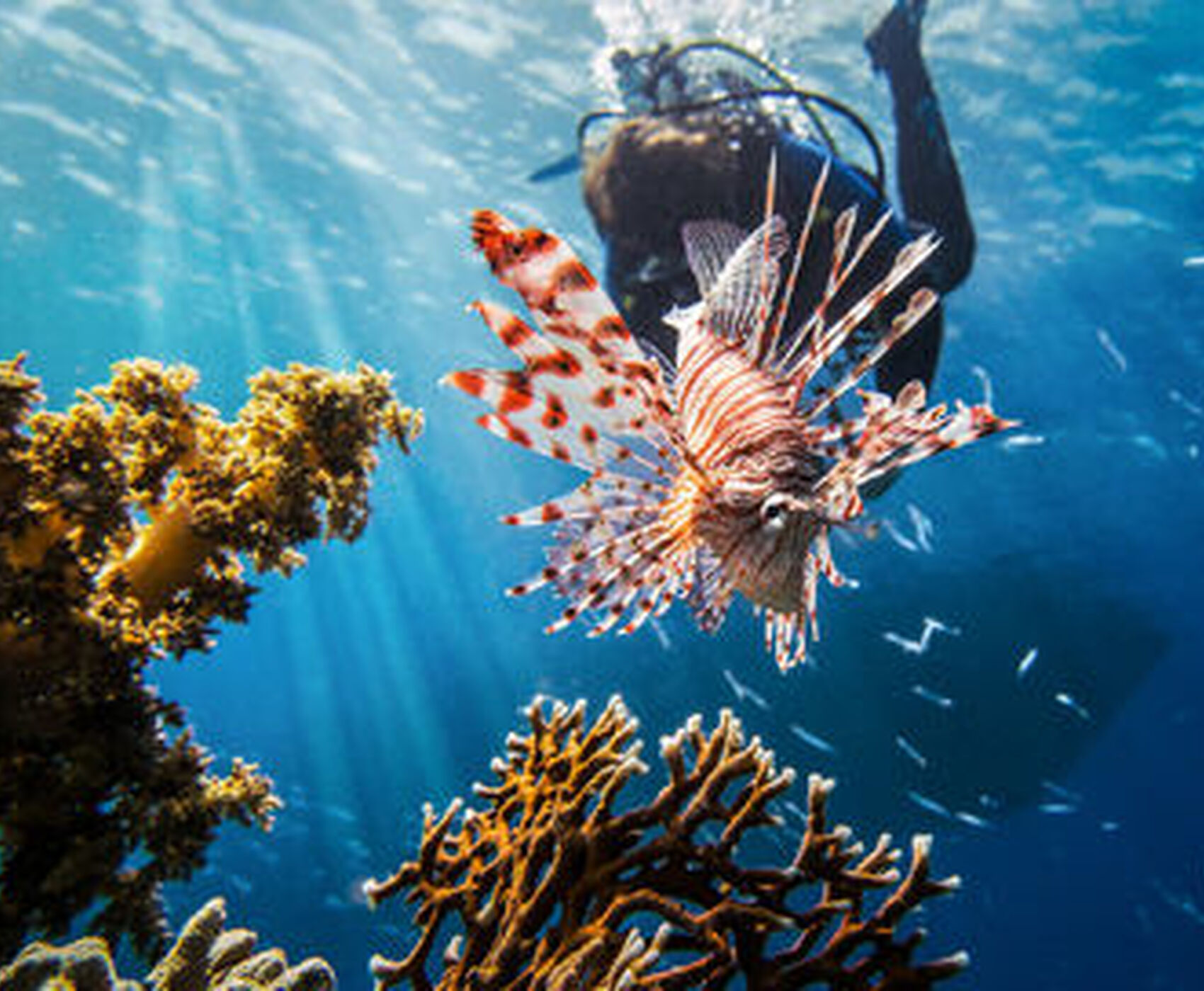 SHARM EL SHEIKH KAHİRE ( MISIR TURU ) 3 GECE