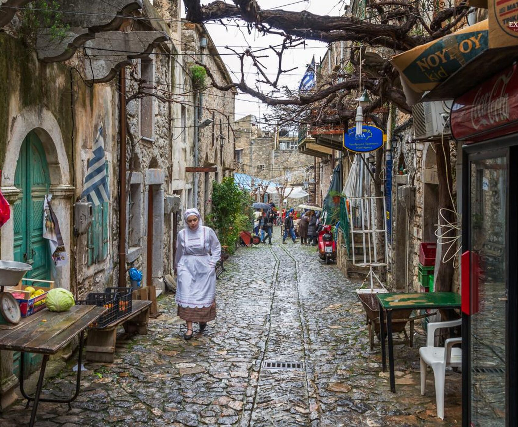 SAKIZ ADASI TURU ( TÜRKCE REHBERLİ + TURLAR DAHİL )