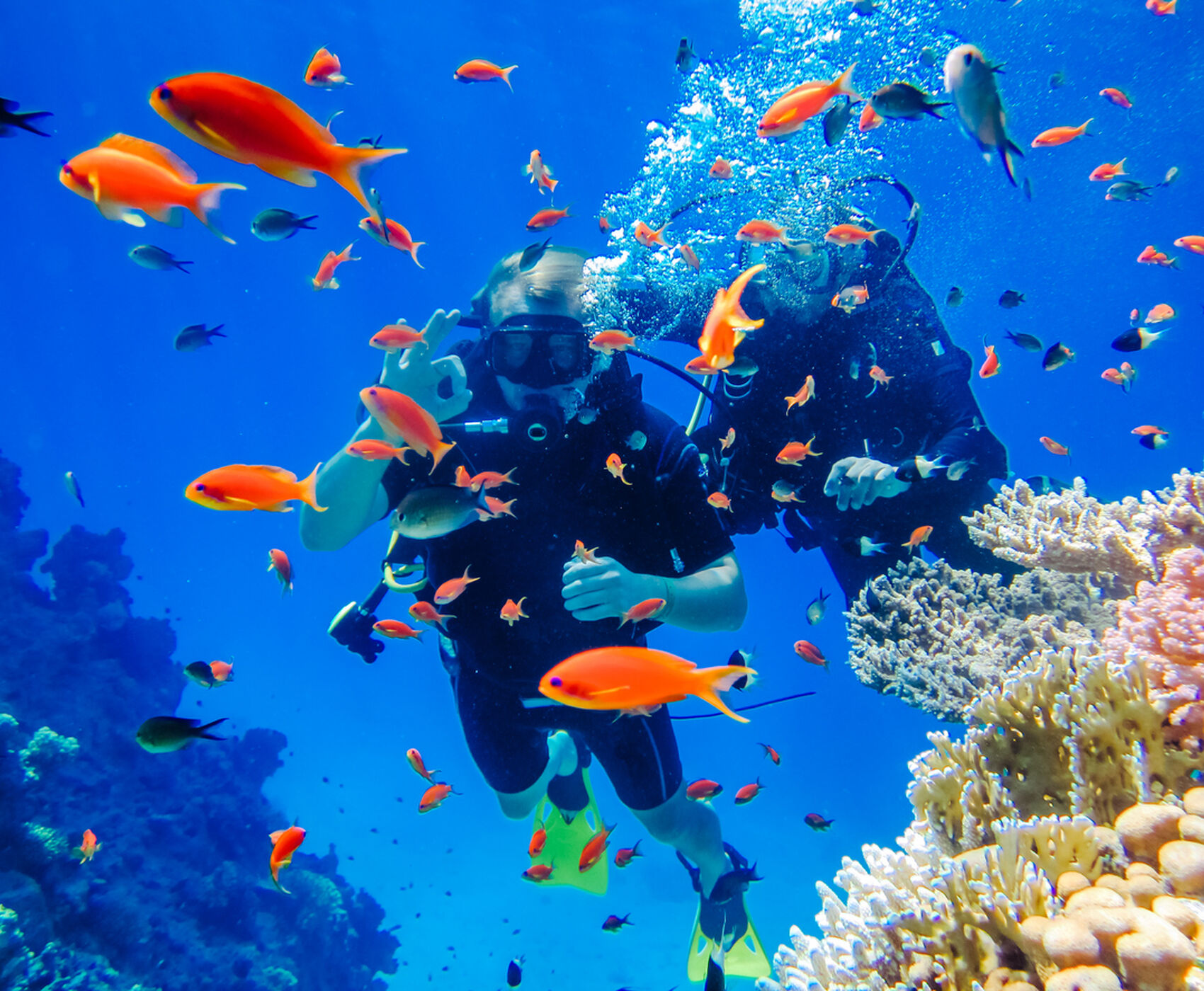 ANKARA ÇIKIŞLI HERŞEY DAHİL - KAHİRE & PİRAMİTLER & SHARM EL SHEİKH & KIZILDENİZDEKİ CENNET AKVARYUM!!!!!!