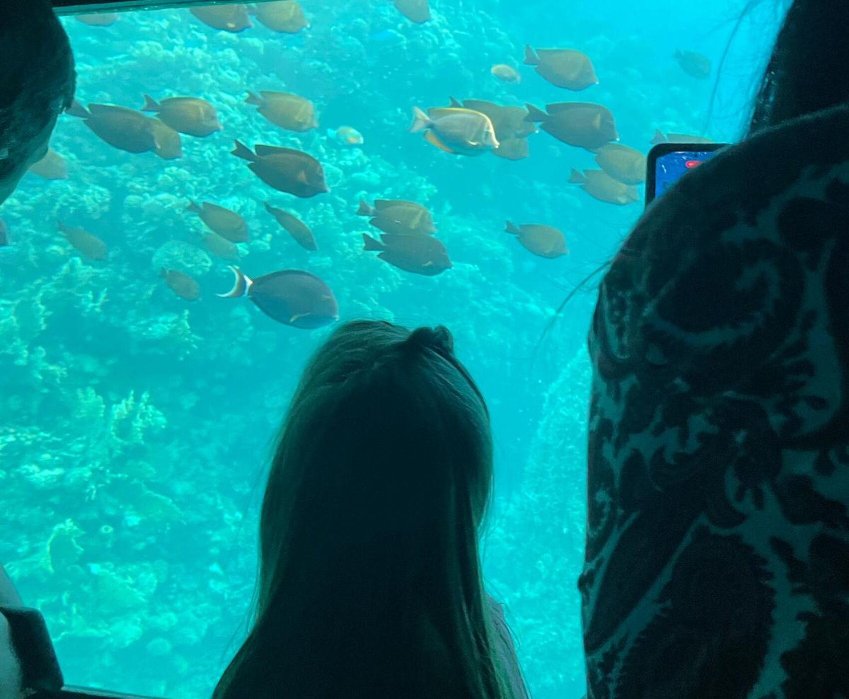 İZMİR ÇIKIŞLI HERŞEY DAHİL KAHİRE &PİRAMİTLER ( MISIR ) & PETRA ANTİK KENTİ (ÜRDÜN)