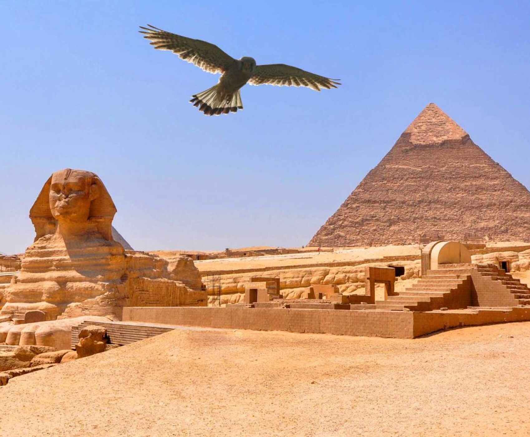 ANTALYA DAN DİREKT UÇAKLI  TARİHİN İZİNDE FİRAVUNLAR ÜLKESİ MISIR ( TAPINAKLAR & PİRAMİTLER )