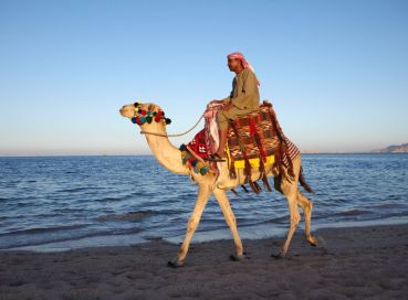 19 Mayıs Atatürk’ü Anma, Gençlik ve Spor Bayramı Özel  Sharm ve Kahire  - Her Şey Dahil Konaklamalar - 6 Gece/8 Gün -  Ajet Havayolları ile, T.C.’nin Her Yerinden Bağlantı İmkanı