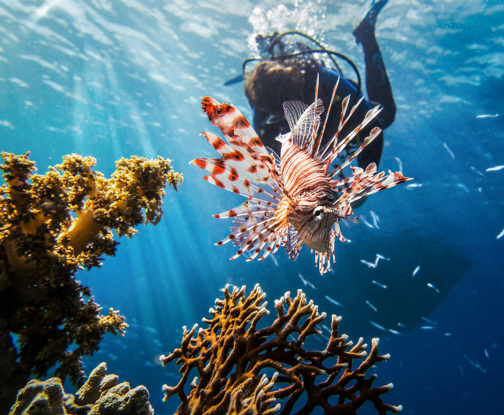 ANTALYA DAN DİREKT UÇAKLI KAHİRE & PİRAMİTLER & İSKENDERİYE & SHARM EL SHEİKH